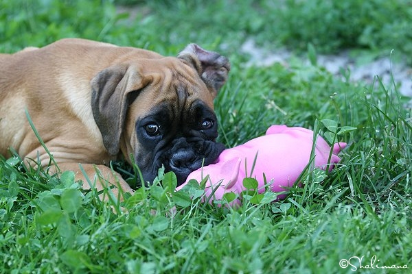 ../Images/otto-9.6.10-c.jpg