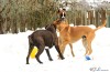 Thumbs/tn_bo-12-12-10-f.jpg