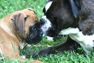 Charly und Otto