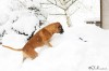 Thumbs/tn_17-12-10-o.jpg