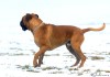 Thumbs/tn_9-2-11-k.jpg
