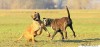 Thumbs/tn_16-1-11-zzs.jpg