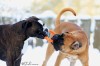 Thumbs/tn_30-11-10-b.jpg