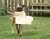 Thumbs/tn_13-10-10-x.jpg