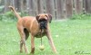 Thumbs/tn_1.9.10-m.jpg