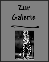 Zur Fotogalerie