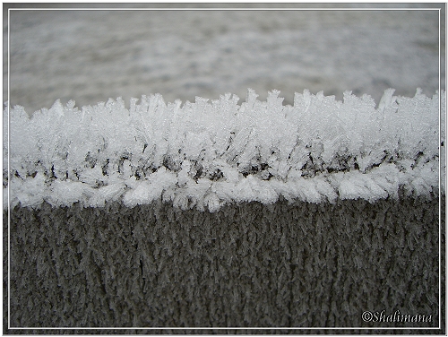 Holzstück, reifbedeckt
